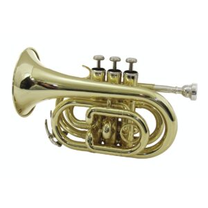 Zeff France ZTR 300 Bb Cornet