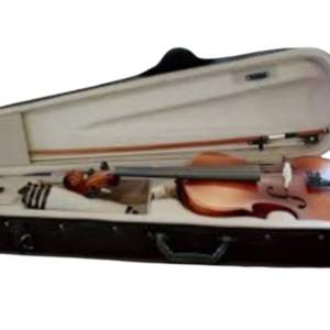 Professional violin