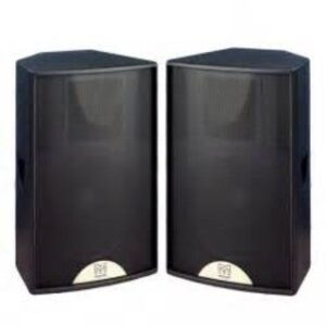 Martin Audio BlackLIne F12+ PA Speaker/stage monitor,