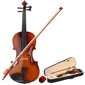 Students violin.